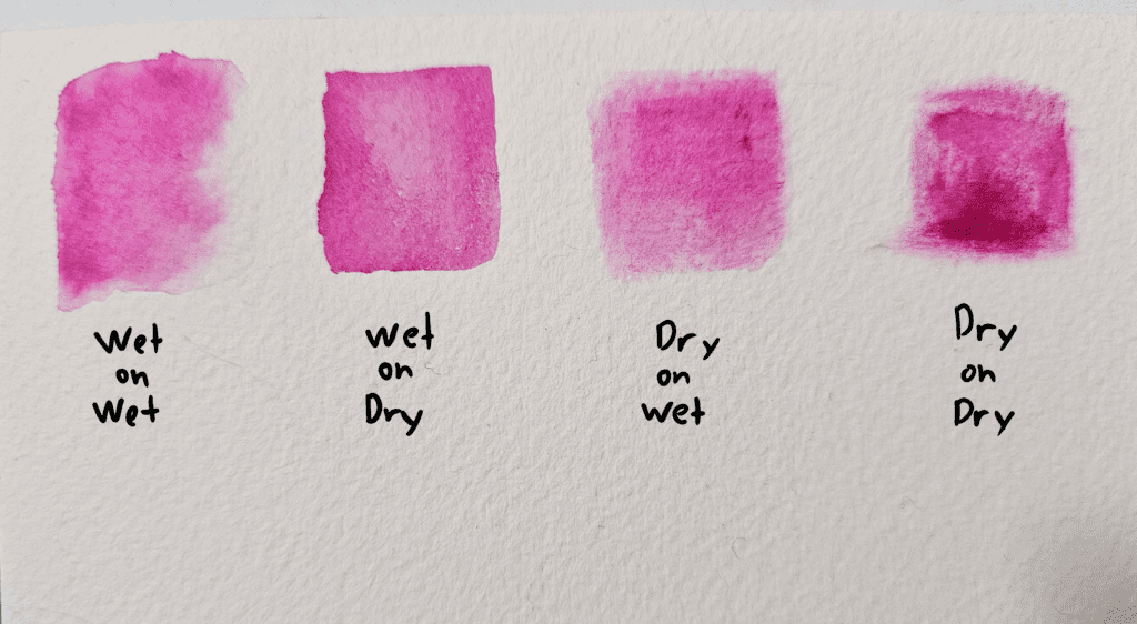 Watercolor techniques- wet on wet, wet on dry, dry on wet, dry on dry.